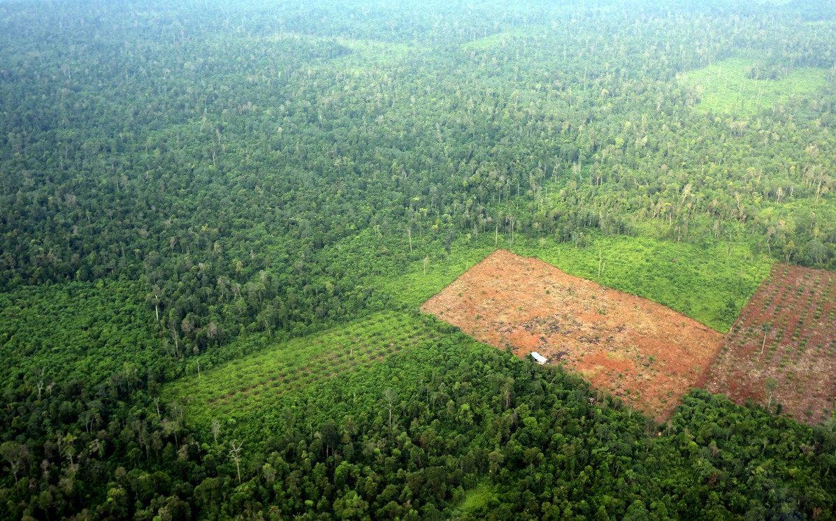 riau_1245